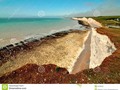 The Seven Sisters are a series of chalk cliffs by the English Channel. #beach #beauty #blue #250pxrtg #photography