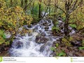 Glen Nevis is a valley at the foot of the Ben Nevis range. #Scotland #250pxrtg #photography #autumn #autumnal