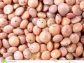 A close-up image of brown lentils. #food  #background #bean #brown #Dreamstime #photography