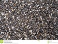 A close-up of Chia, believed to have been cultivated by the Aztecs. #Dreamstime #photography