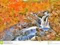 Rogie Falls (Gaelic: Eas Rothagaidh) are a series of waterfalls on the Black Water, #autumn #dreamstime #500pxrtg