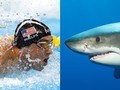 Michael Phelps vs. Shark: Who Ya Got? - The Wall Street Journal