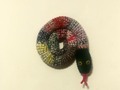 Door Draft Stopper Snake, Door Snake, Draft Blocker- 40 inches via Etsy