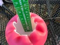 Check out what i found on Etsy