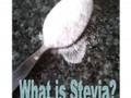 What is Stevia? - a Natural Herbal Alternative to Saccharine and Aspartamine