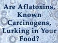 #youtube Is Aflatoxin Lurking in our Foods?