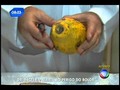 Dr. Bactéria - Alerta ao perigo de bolor nos alimentos