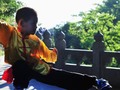 How to Learn Monkey-Style Kung Fu via livestrong_com