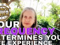 YOUR FREQUENCY LEVEL DETERMINES YOUR MATRIX Game of Life EXPERIENCE via YouTube