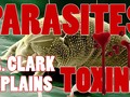 #youtube Dr. Hulda Clark Explains Parasites and Toxins Cause All Diseases