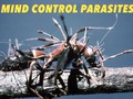 #youtube Parasites in Humans (Parasites can control the mind?)