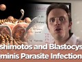 #youtube Hashimotos and Blastocystis Hominis Parasite Infection - The Infection Connection