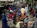 #youtube Evolution of sickle cell malaria
