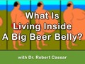 What Is Living inside a Big Beer Belly? I Dr. Robert Cassar