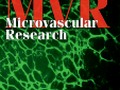 Blood flow velocity in capillaries of brain and muscles and its physiological significance - ScienceDirect