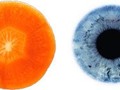 Foods That Resemble The Body Parts They’re Good For