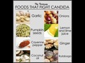 Candida Fungus Mold Yeast detox