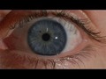 Chromosome 15 - Eye colour