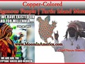 Copper Colored Indigenous People Turtle Island Message by Chief Nanya ShaabuEil