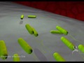 What Are Bacterial Biofilms? A Six Minute Montage