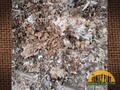 #Q & A - My Mulch Looks Like It Has Mold On It