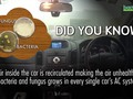 Did you know Bacteria & Fungus will grow in your car?