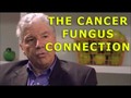 Doug Kaufmann: The Cancer, Fungus, Yeast Connection