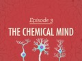 The Chemical Mind - Crash Course Psychology #3
