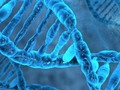 An Ancient Retrovirus Has Been Found In Human DNA – And It Might Still Be Active | IFLScience