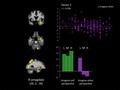 A neurological basis for the lack of empathy in psychopaths | EurekAlert! Science News