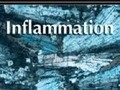 Anti-inflammatory Effects of Oleanolic Acid on LPS-Induced Inflammation In Vitro and In Vivo getmixapp