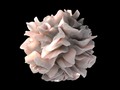 Study reveals immune-system deviations in severe COVID-19 cases getmixapp