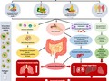 Importance of Dietary Changes During the Coronavirus Pandemic: How to Upgrade Your Immune Response getmixapp