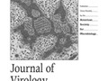 Conventional Protein Kinase C-α (PKC-α) and PKC-β Negatively Regulate RIG-I Antiviral Signal Transduction getmixapp