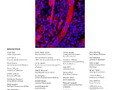 Mechanisms of chronic JAK-STAT3-SOCS3 signaling in obesity getmixapp