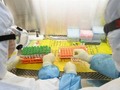 Shocking! US gave $3.7 million to China's Wuhan lab tha coronavirus tests on bats via BT_India