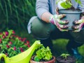 Gardening could reduce your risk of a heart attack, study finds getmixapp
