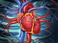 New Evidence Concerning Safety of ACE Inhibitors, ARBs in COVID-19 getmixapp