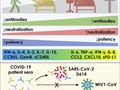 COVID-19-neutralizing antibodies predict disease severity and survival getmixapp