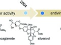 Rocaglamide and silvestrol: a long story from anti-tumor to anti-coronavirus compounds getmixapp