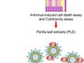 Perilla (Perilla frutescens) leaf extract inhibits SARS-CoV-2 via direct virus inactivation getmixapp