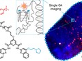 Single-molecule visualization of DNA G-quadruplex formation in live cells getmixapp