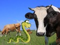 Study: Cows Are 25 Percent Snake getmixapp