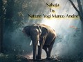 Sahaja by Nature Yogi Marco Andre #Spotify #Distrokid #Chillout #Ambient #MeditationMusic #YogaMusic #Music