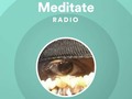 #playlist Meditate Radio featuring Meditate (With Me) by Nature Yogi Marco Andre    Add to y…