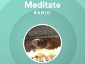 #playlist Meditate Radio featuring Meditate (With Me) by Nature Yogi Marco Andre Add to y…
