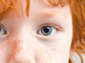 Global Warming Kills Redheads!
