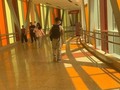 En Barranquilla Me quedo…