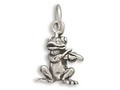 Sterling Silver Frog Jewelry