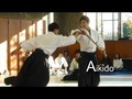 Me ha gustado un vídeo de YouTube ( - Dynamic Aikido Demonstration 2018 - Shirakawa Ryuji shihan).